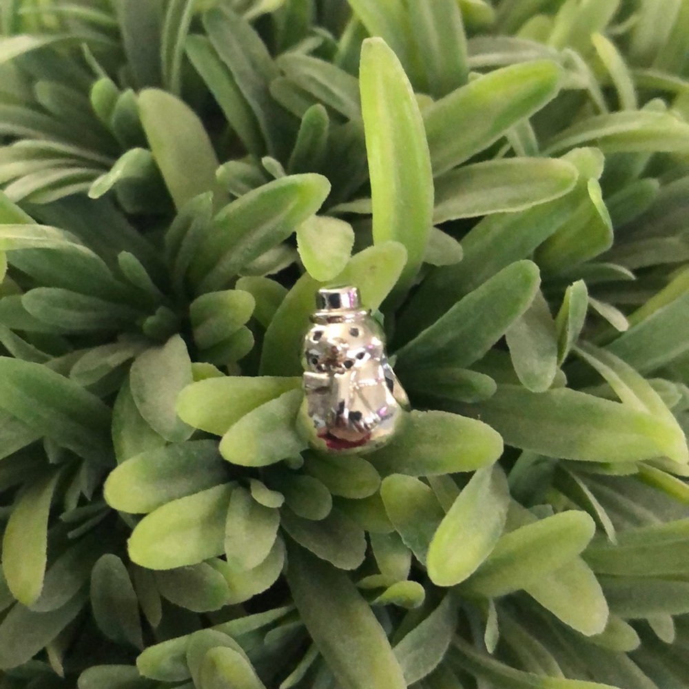 Pandora Charm